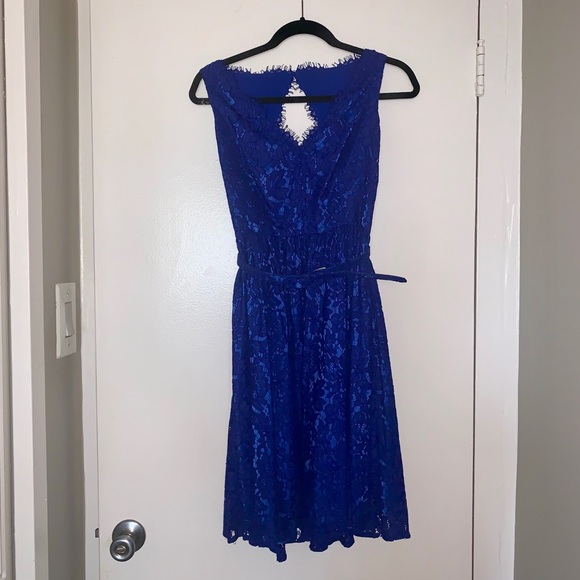Eliza J Fit and Flare Lace Dress- Royal Blue - Picture 3 of 7